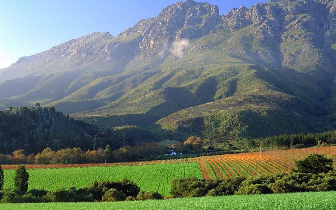 All About Africa; Stellenbosch, South Africa