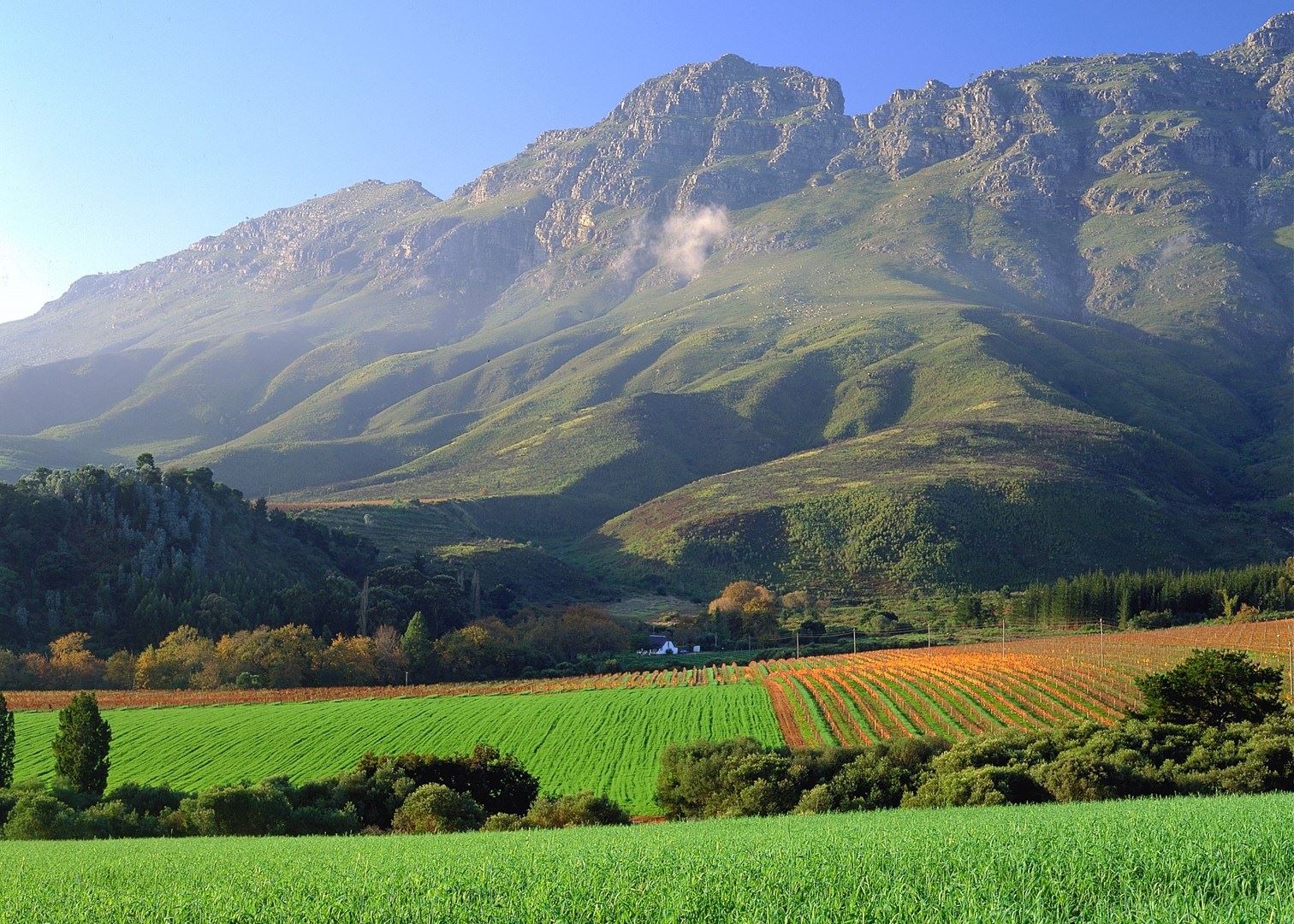 All About Africa; Stellenbosch, South Africa