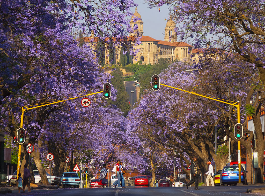 All About Africa; Pretoria